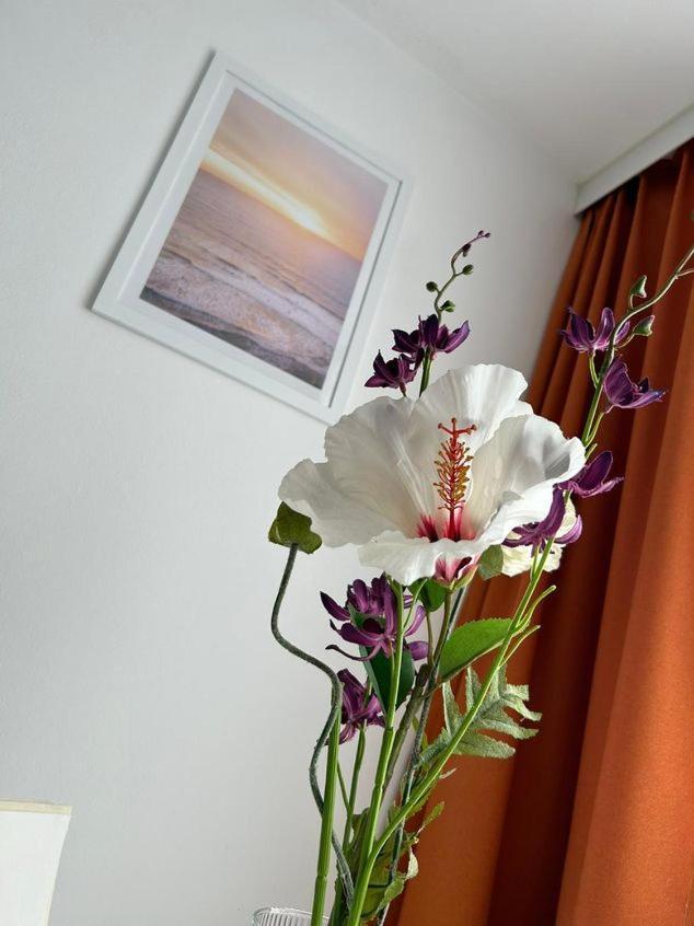 Apartment Harmony Graz Ngoại thất bức ảnh